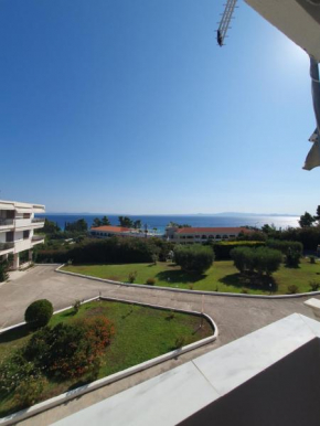 Paralia Homes Ocean Postcard